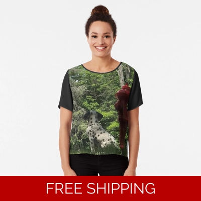 Le Studio Chiffon Top Rush Signals Monument Back Le Studio Chiffon Top Rush Signals Monument Back